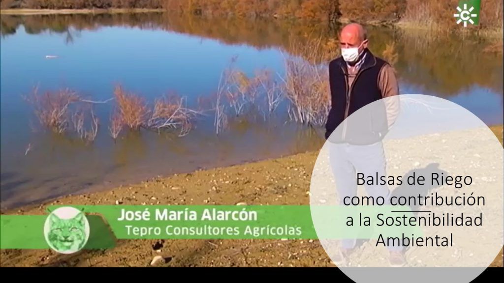 imagen destacada del post Balsas de Riego como contribución a la Sostenibilidad Ambiental