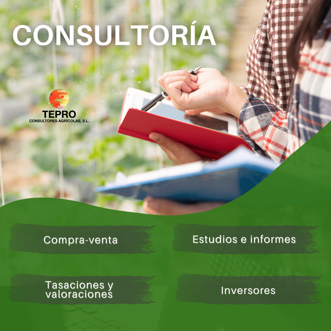 Consultoría TEPRO