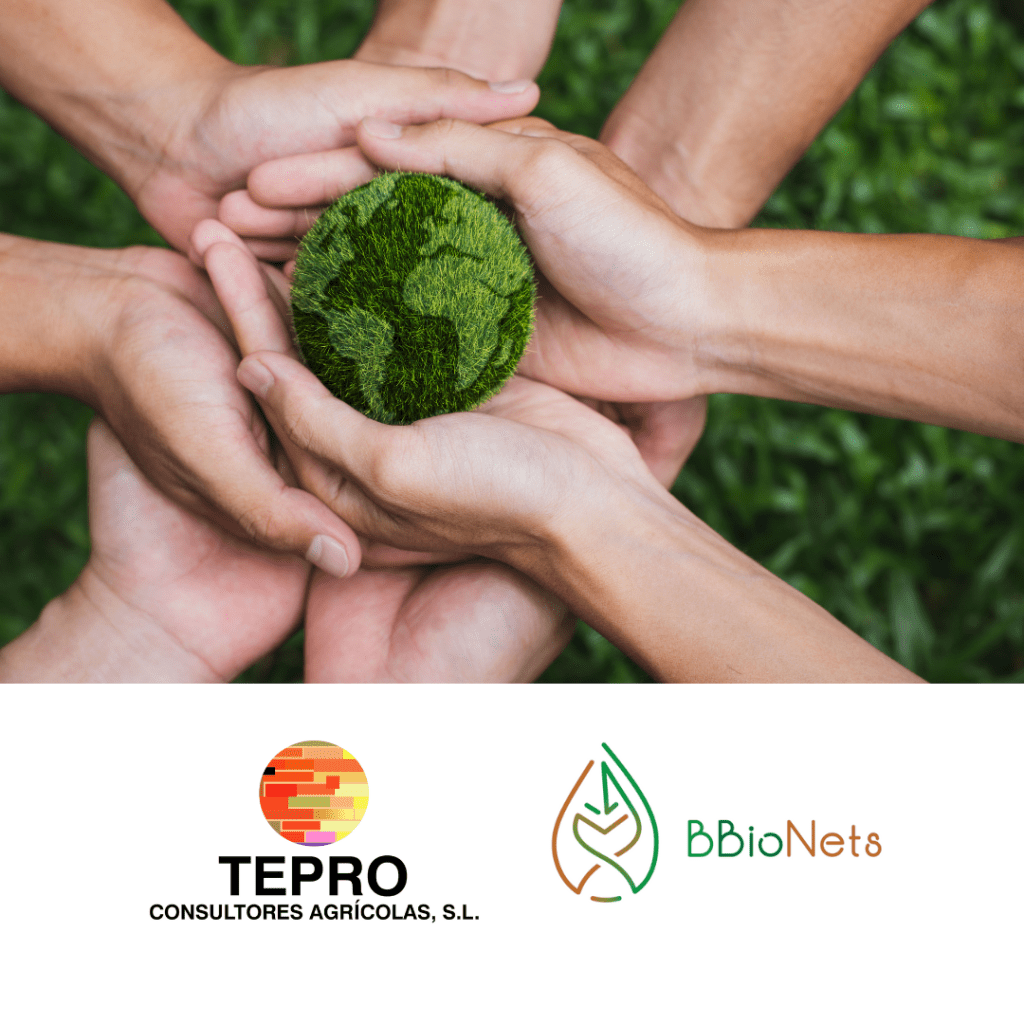 imagen destacada del post BBioNets: Impulsando la Bioeconomía Circular