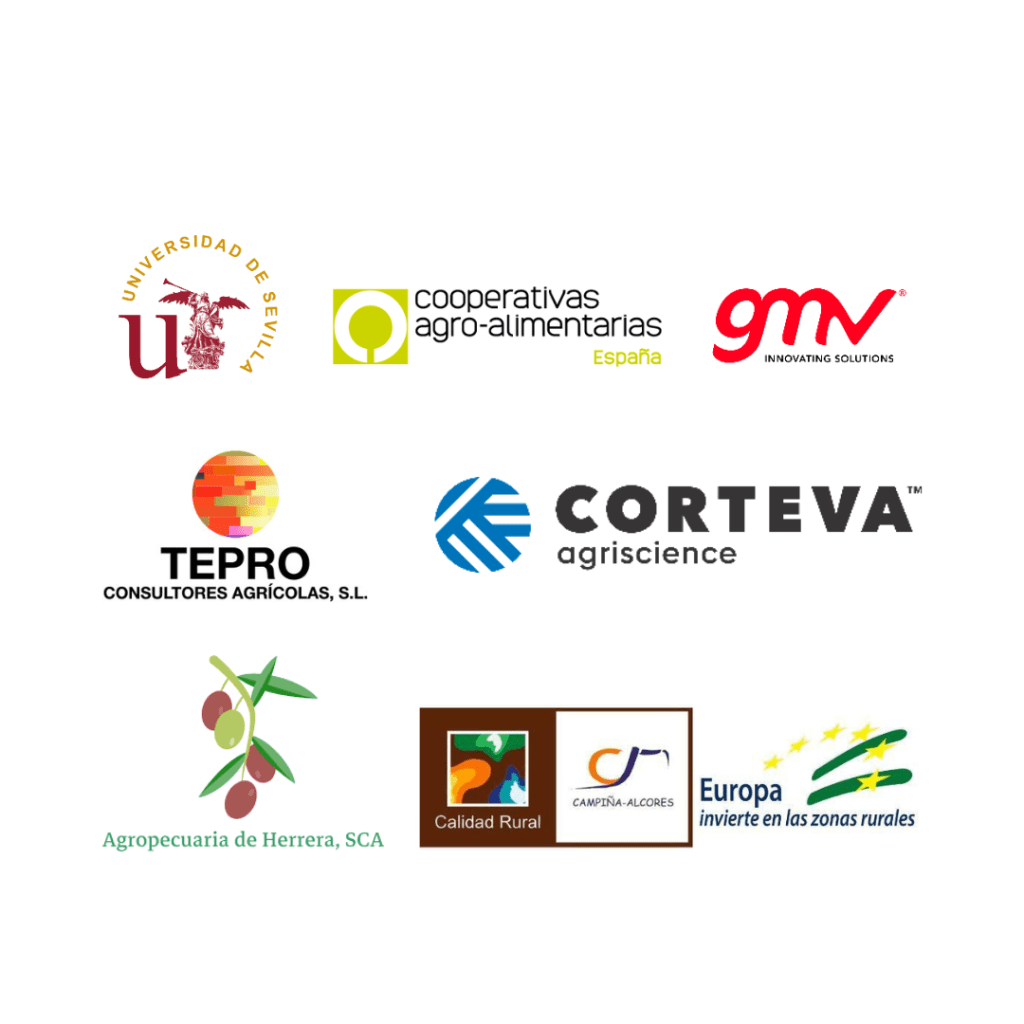 Participantes del proyecto Greenbot