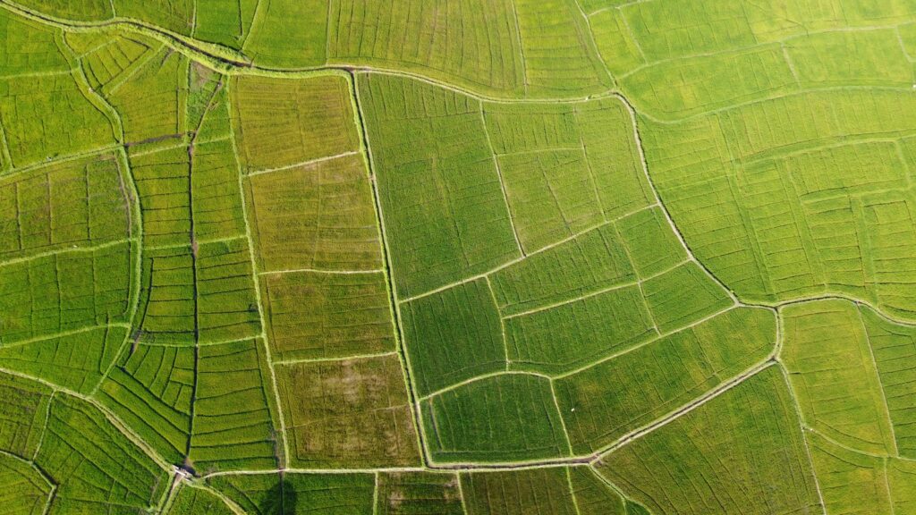 imagen destacada del post La transformación digital se impone en las empresas del sector agro
