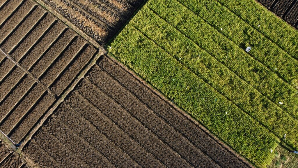 imagen destacada del post Mancera adquiere un dron de última generación